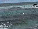 dsc02298