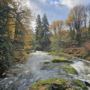 Tumwater Falls Tumwater WA