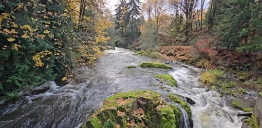 fall tumwater falls park